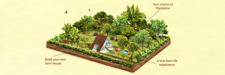 From Weekend Retreat to Family Legacy: Managed Farmland Near Bangalore